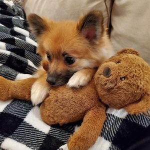 Meet your Posher, James